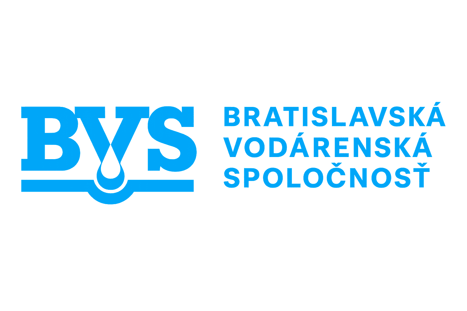 Logo BVS