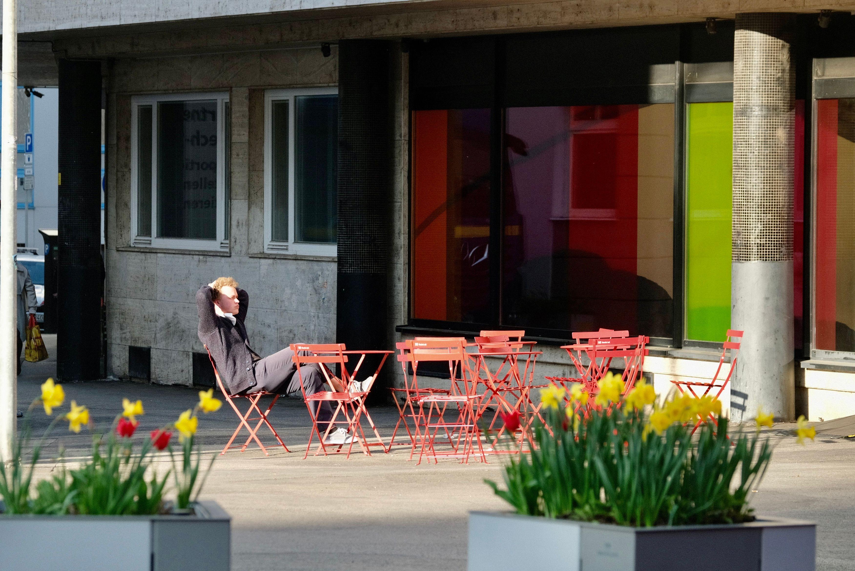 Fotka projektu sadni si